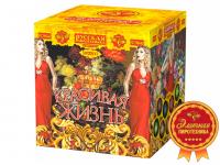 Красивая жизнь Фейерверк купить в Сосновке Кировской области | sosnovkakirovskaya.salutsklad.ru