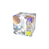 Новогодняя ночь Салют купить в Сосновке Кировской области | sosnovkakirovskaya.salutsklad.ru