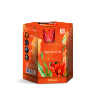 Тюльпаны Салют купить в Сосновке Кировской области | sosnovkakirovskaya.salutsklad.ru