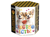 Счастье есть! Салют купить в Сосновке Кировской области | sosnovkakirovskaya.salutsklad.ru