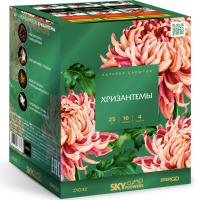 Хризантемы Фейерверк купить в Сосновке Кировской области | sosnovkakirovskaya.salutsklad.ru