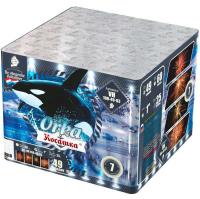 Косатка Фейерверк купить в Сосновке Кировской области | sosnovkakirovskaya.salutsklad.ru