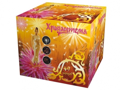 Хризантема Салют купить в Сосновке Кировской области | sosnovkakirovskaya.salutsklad.ru