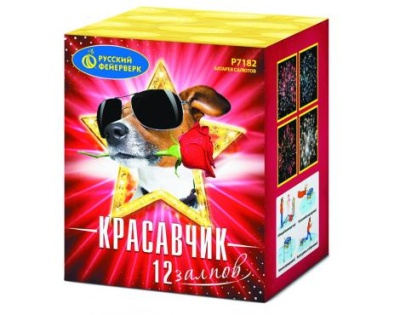 Красавчик Салют купить в Сосновке Кировской области | sosnovkakirovskaya.salutsklad.ru